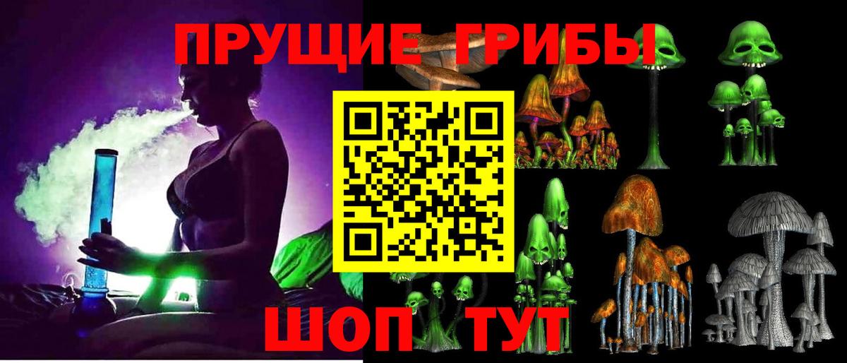 Галлюциногенные грибы Psilocybe Аша