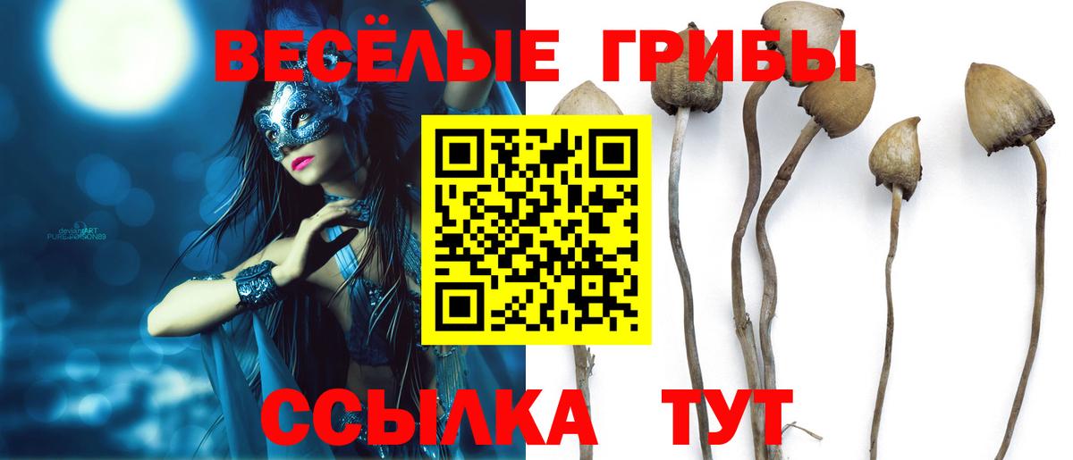 Аша  Псилоцибиновые грибы прущие грибы  Вход с VPN 